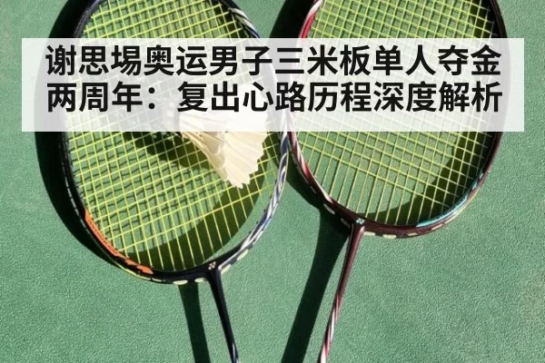 谢思埸奥运男子三米板单人夺金两周年：复出心路历程深度解析